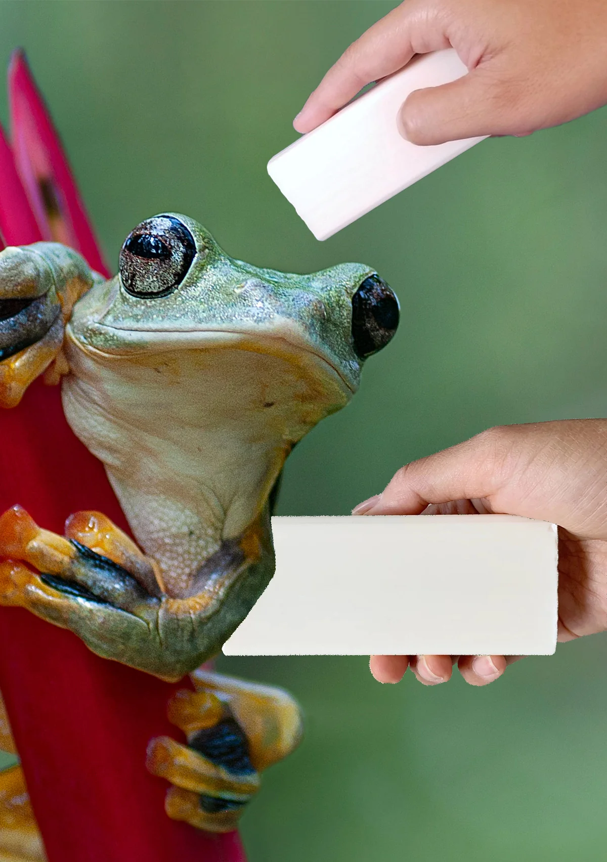 Vegan Stain Remover Bar | Kind Laundry - Image 3