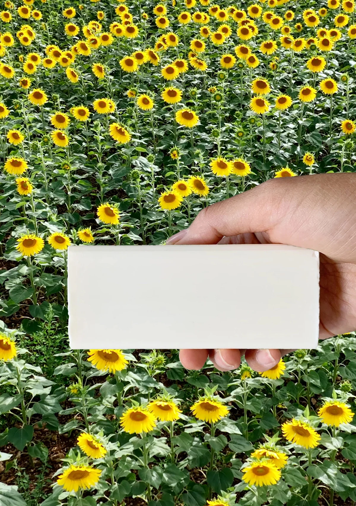 Vegan Stain Remover Bar | Kind Laundry - Image 4